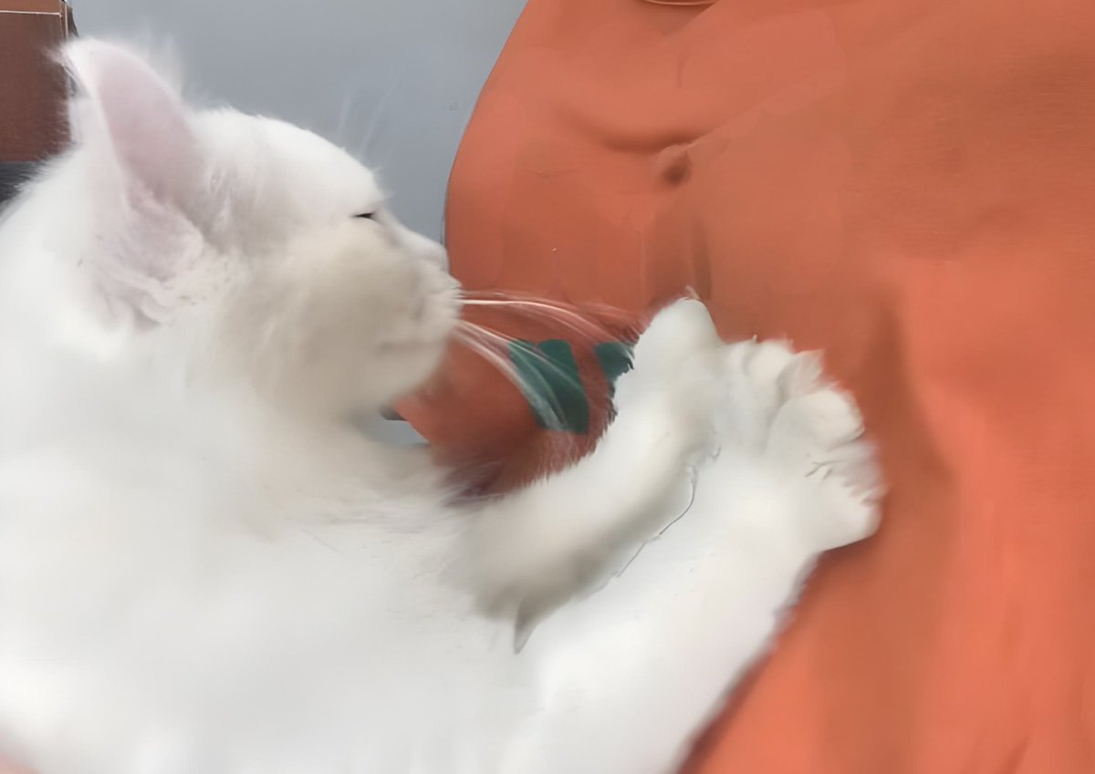 Manickam Sundar tweet media