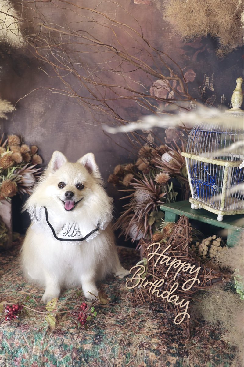 kokomoko tweet media