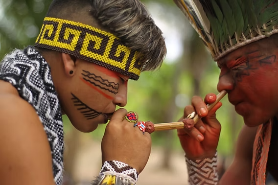 Pastor indigena Gabriel Nargas toda vez que vai no banheiro durante os episodios do Broxada Sinistra

HAUX HAUX