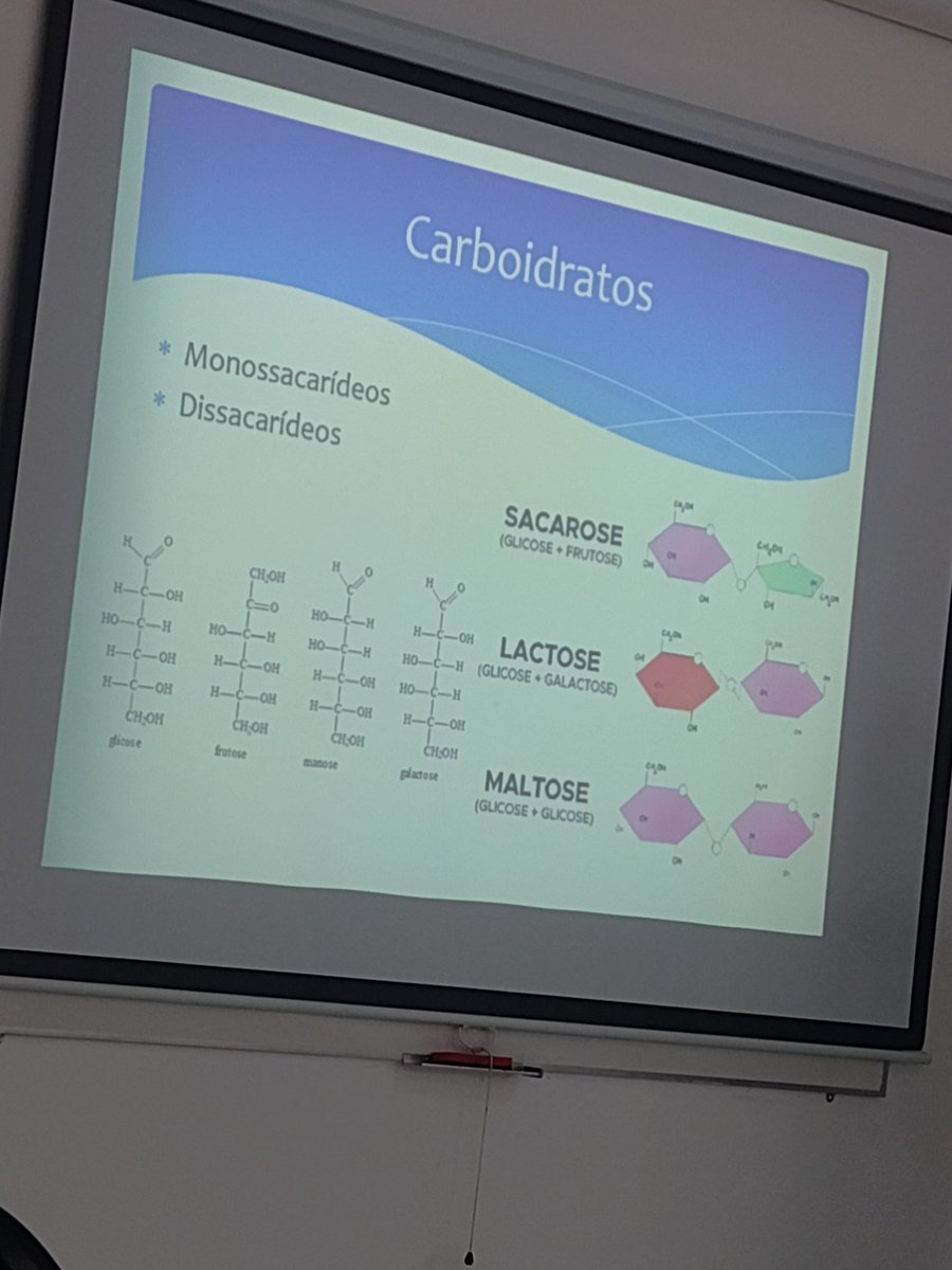 𝐒𝒂𝒎𝒂𝒆𝒍 ¹¹¹ tweet media