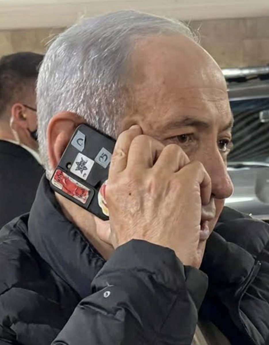 Aster アスター tweet media