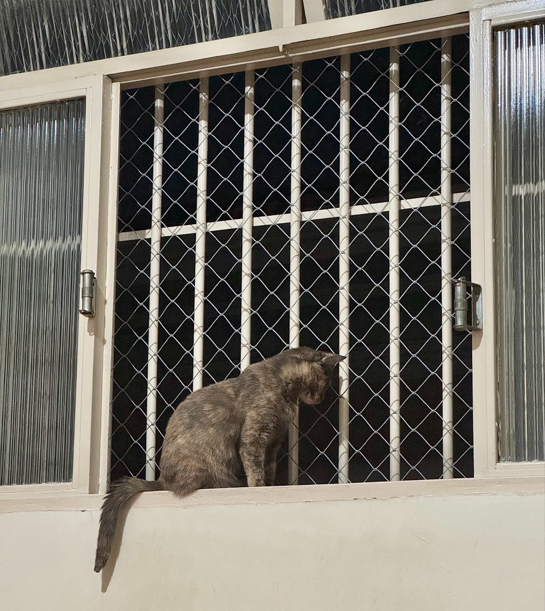 O caos 🏳️‍🌈 tweet media