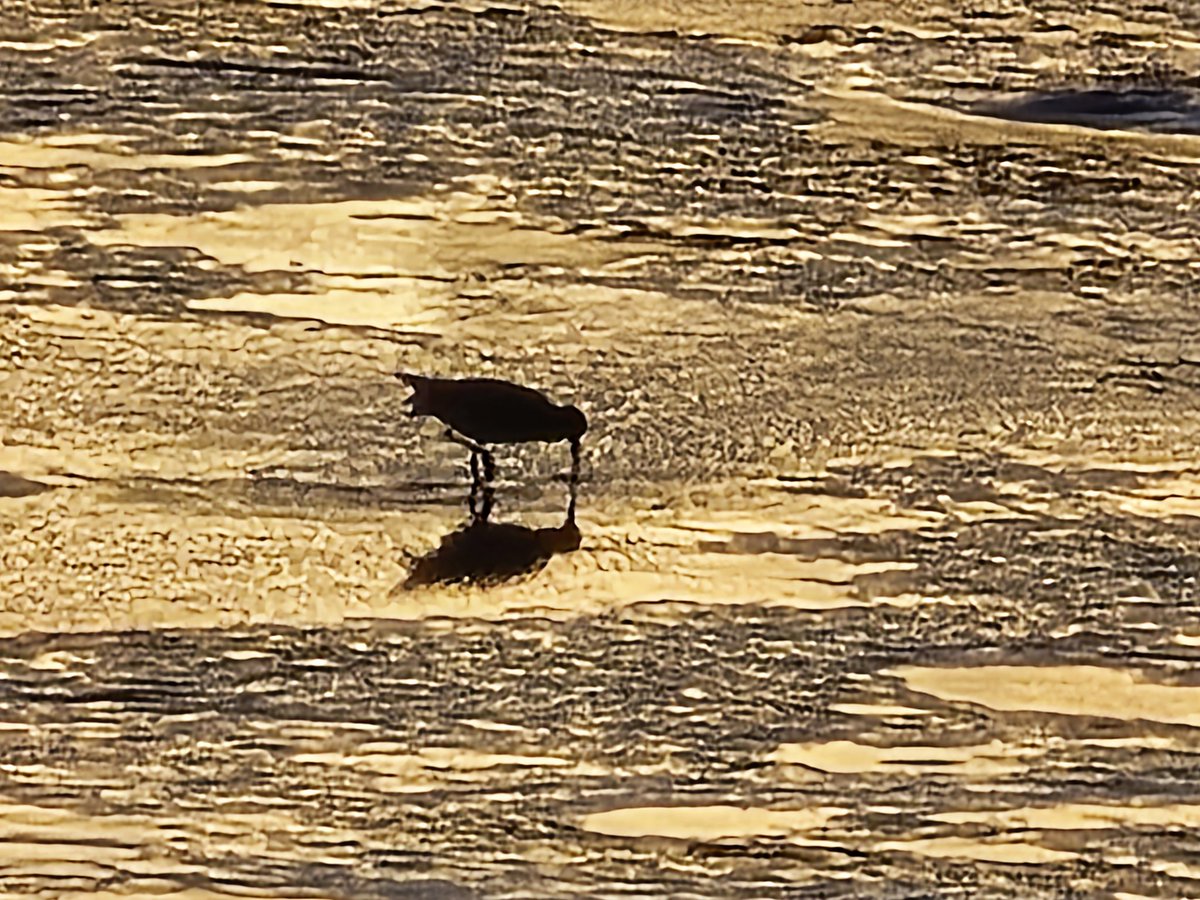HelenMilburn's tweet image. Thursday #WardieBayWatch #Rainbows #FirthofForth #Fife