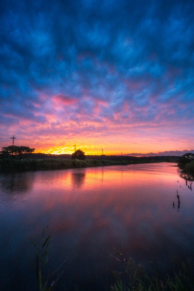 ポムの蒼。(ポムノアオ) tweet media