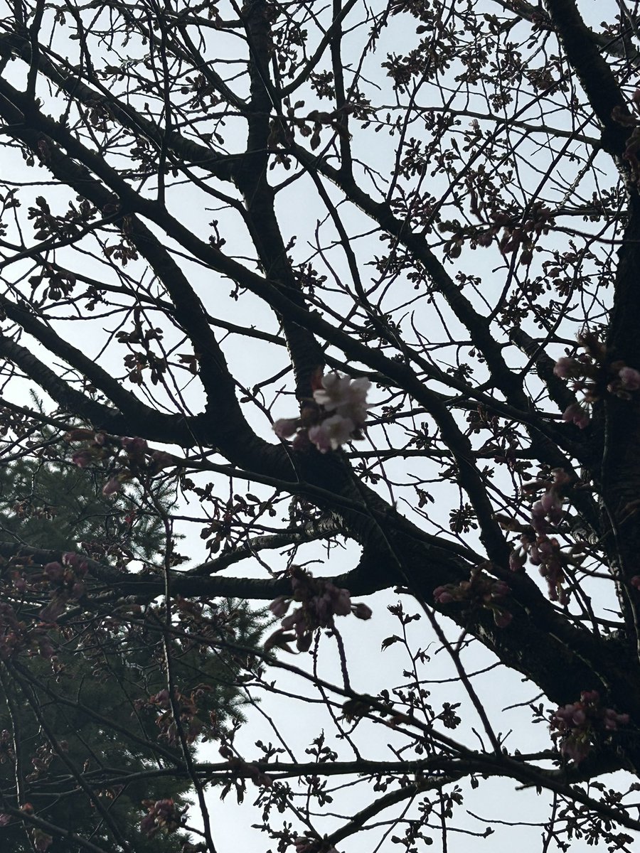 マチルダ tweet media