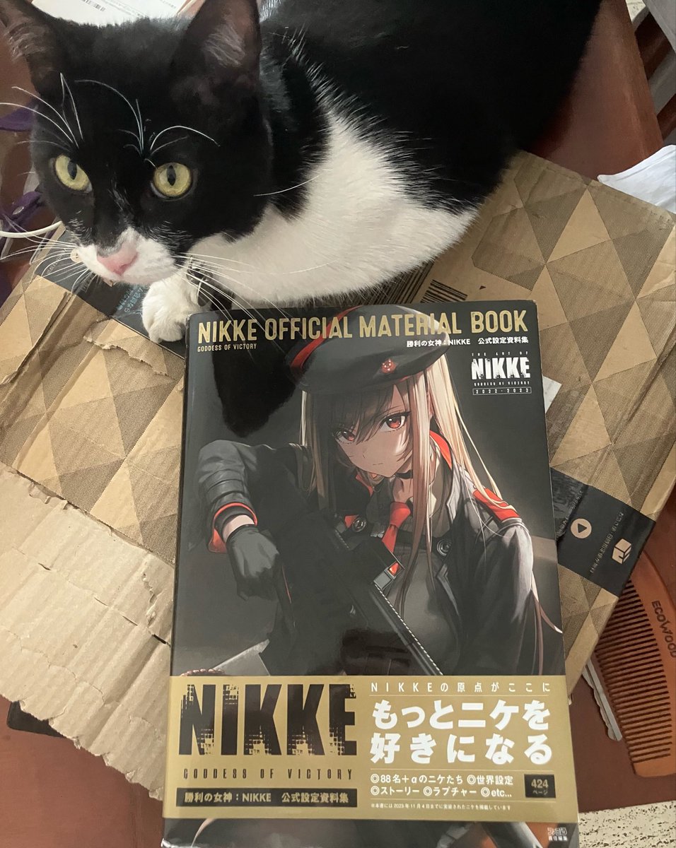 Stellar Blade | NIKKE | Destiny Child | 🍑✨ tweet media