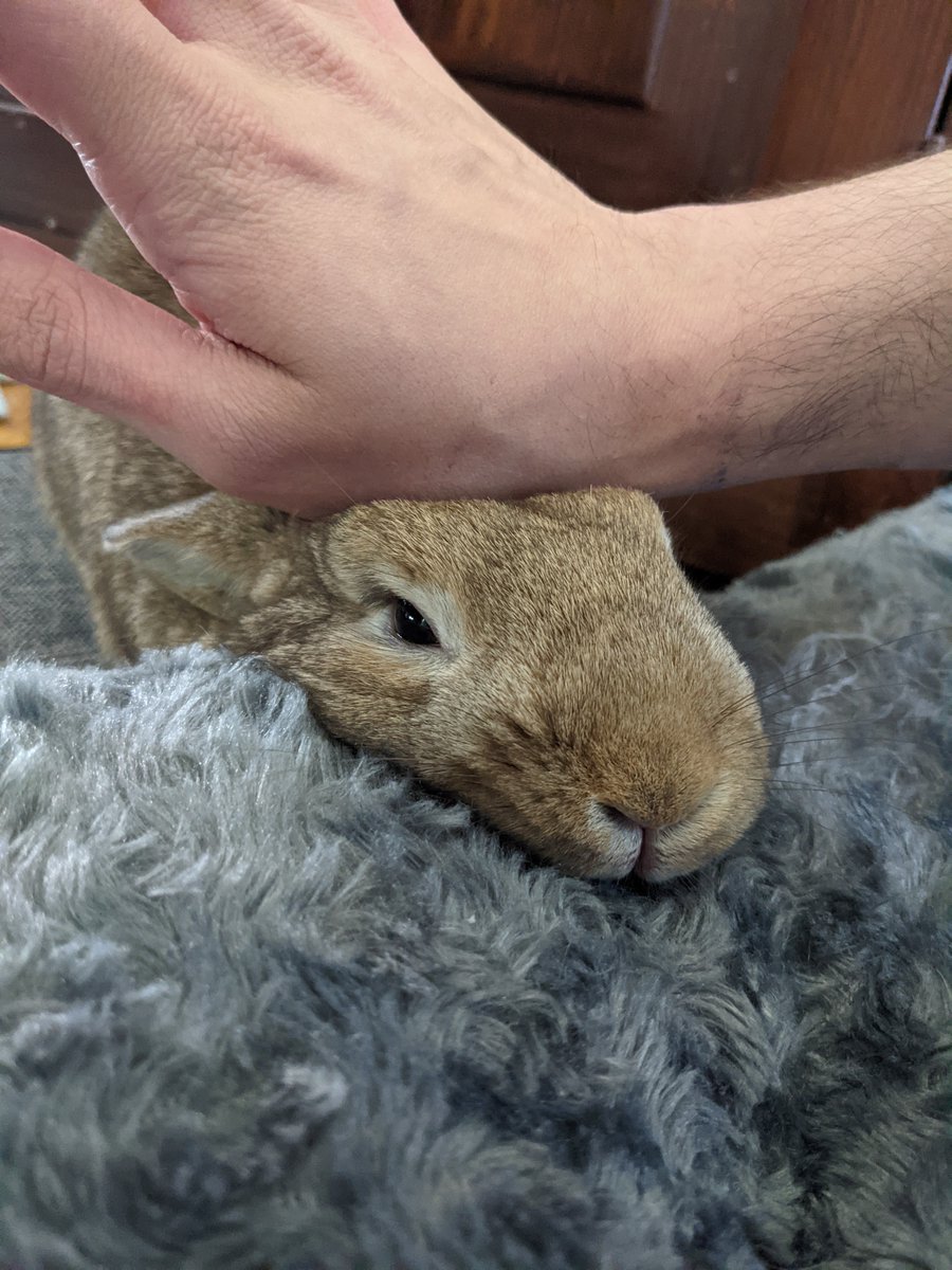 rocky.. 🍁 tweet media