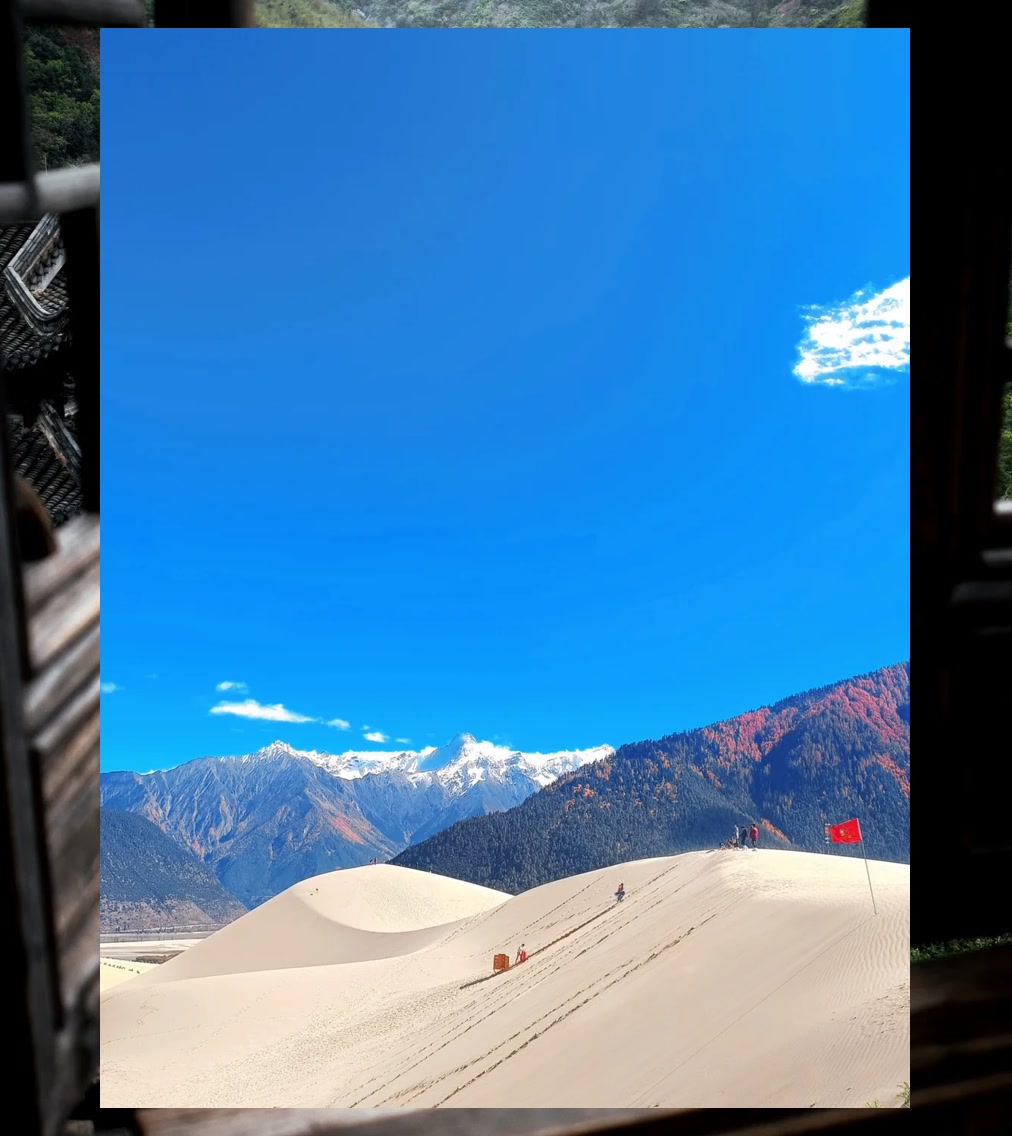 Sandy Adams tweet media