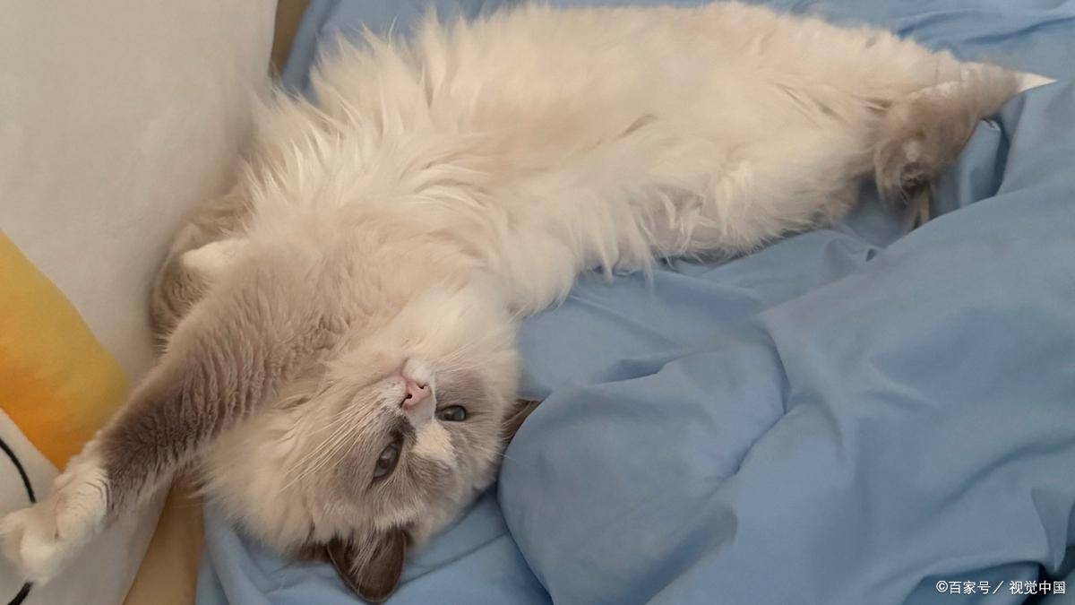 Sandipwanare@gmail.c tweet media