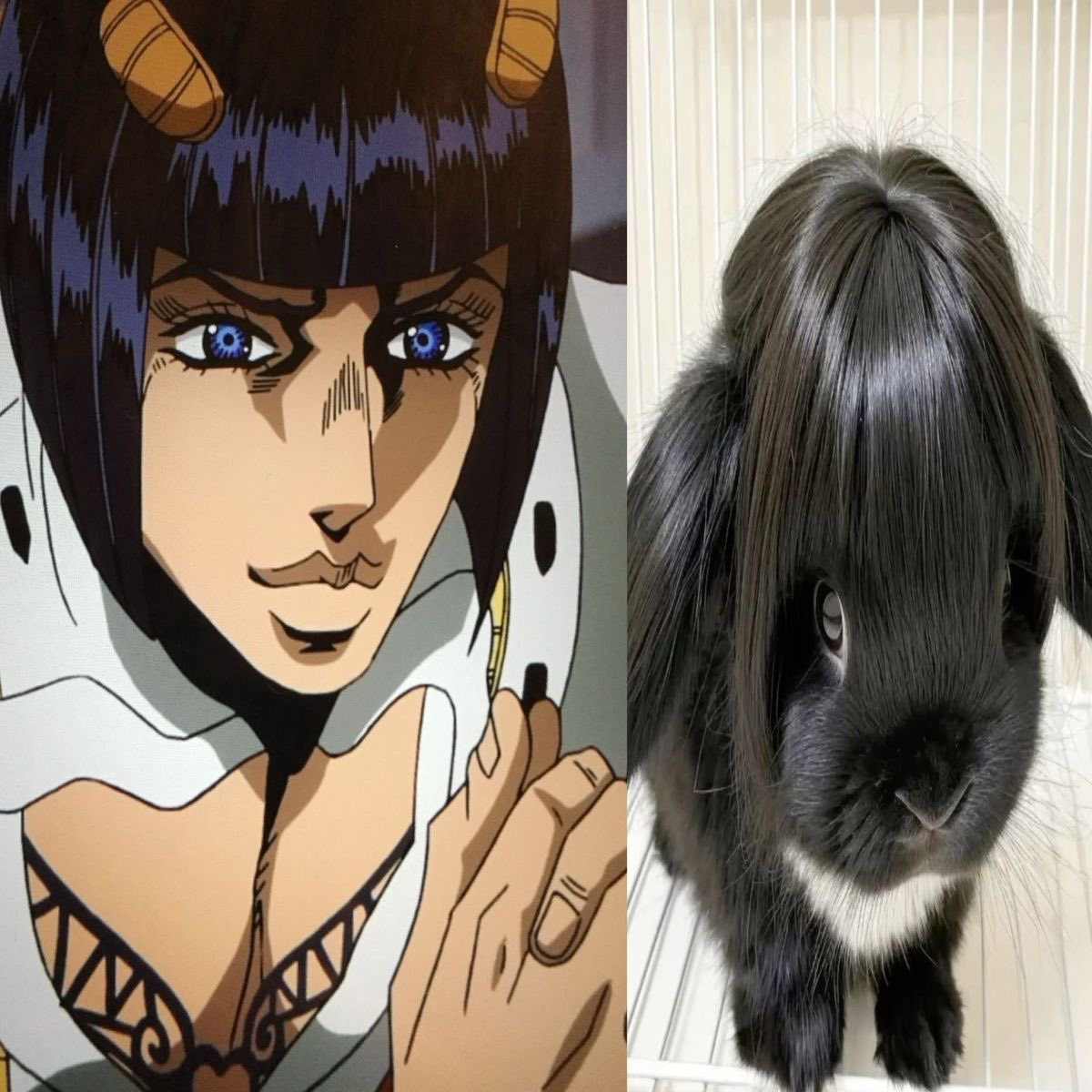 daisy! ☆ tweet media