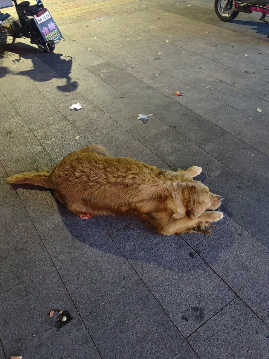 Fábio Campos tweet media