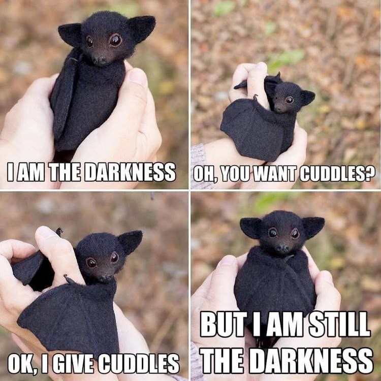 Happy International Bat Appreciation Day! 🦇
#InternationalBatAppreciationDay