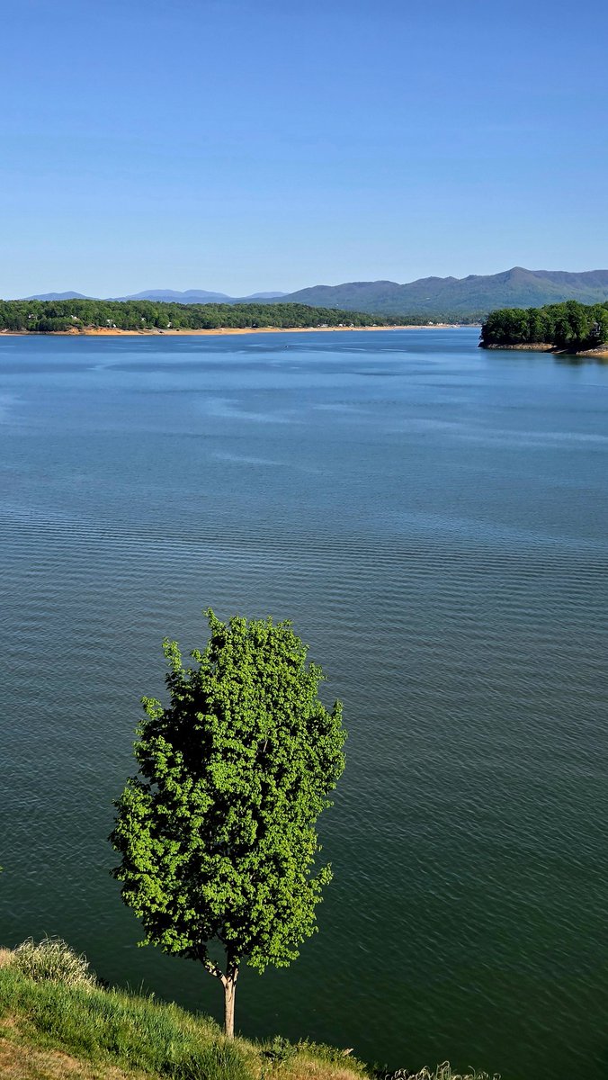 RandyPless's tweet photo. #HappyMaple #DoulasLake #DandridgeTN @WBIRWeather https://t.co/mgiTOjxDWG