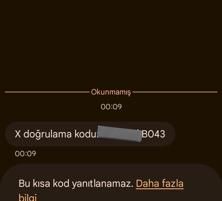 sabiha gökçen tweet media