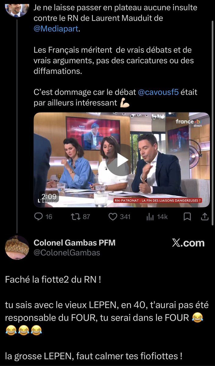 Jean-Philippe Tanguy Ⓜ️ tweet media