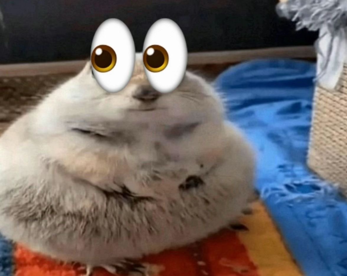 𝖉𝖆𝖗𝖎𝖊𝖓 tweet media