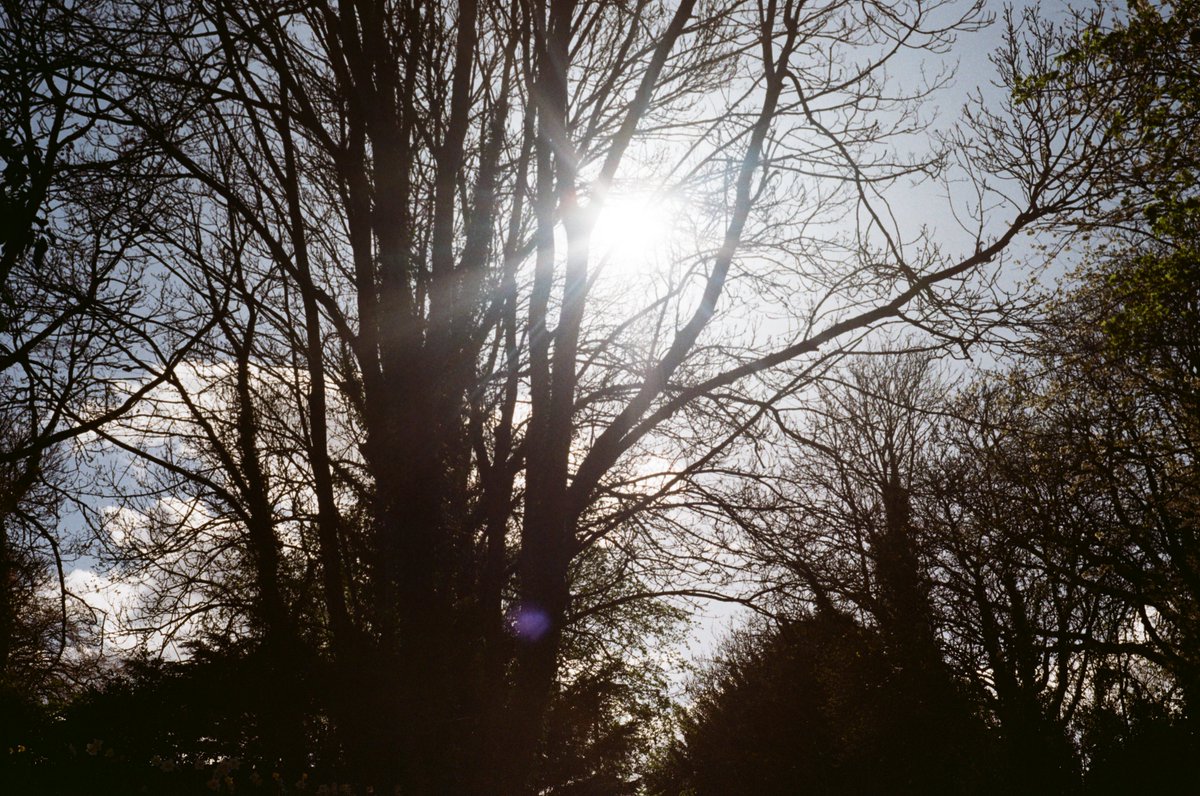 Fun fact:
You do not need light seals if you are pure of heart.
.
.
.
.
.
.
.
.
.
The Light Seals on my Praktica had rotted away but I did some testing with a light and it seemed alright, development has vindicated me.