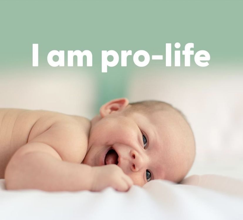 LifeNews.com tweet media