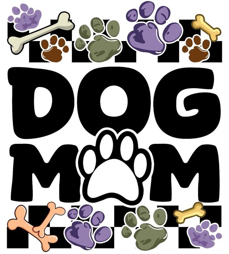 Hazel & King tweet media