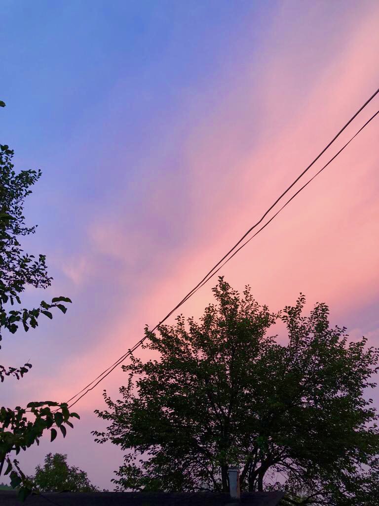 💗