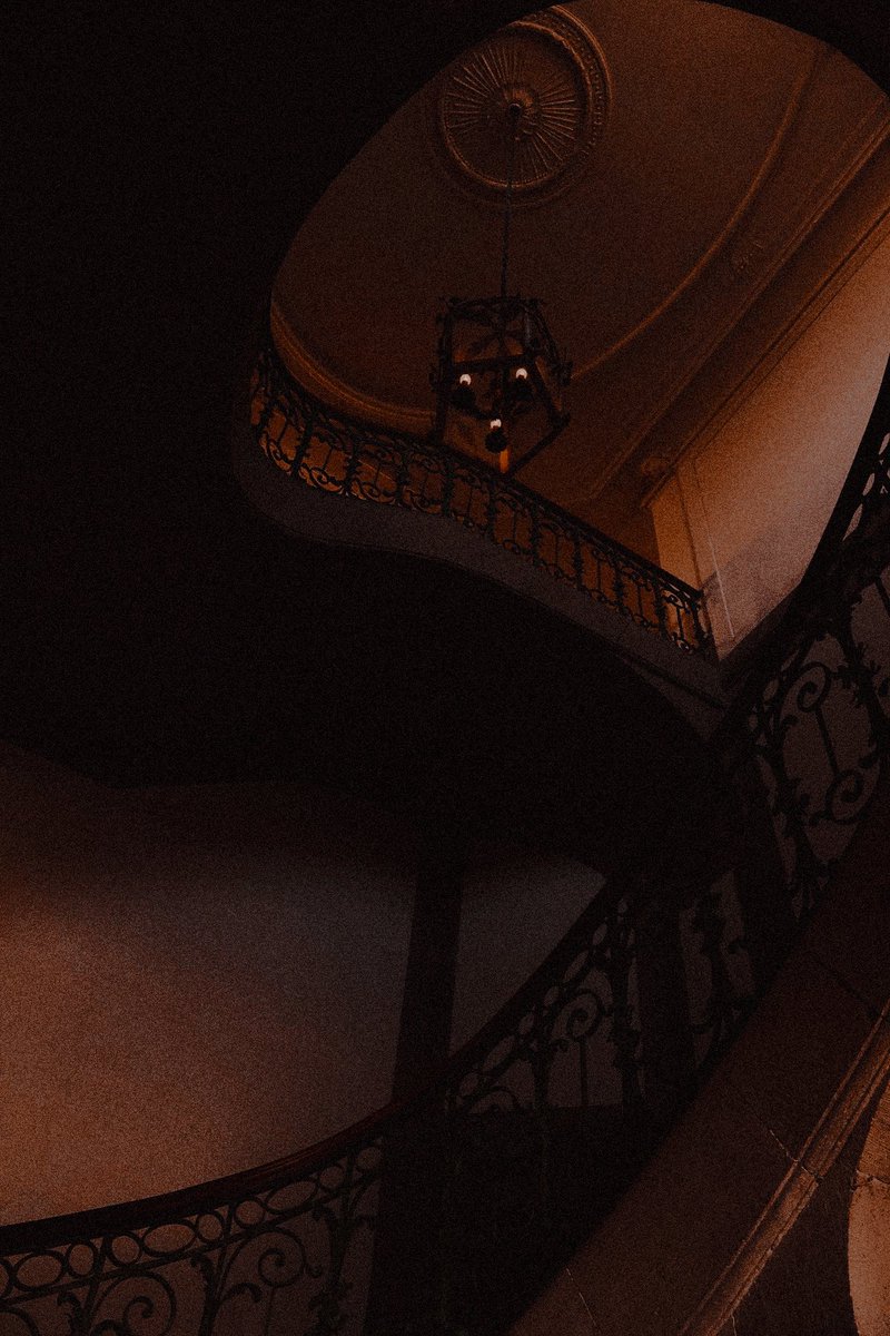 〈 𝐒𝐓𝐄𝐋𝐋𝐀 〉 tweet media