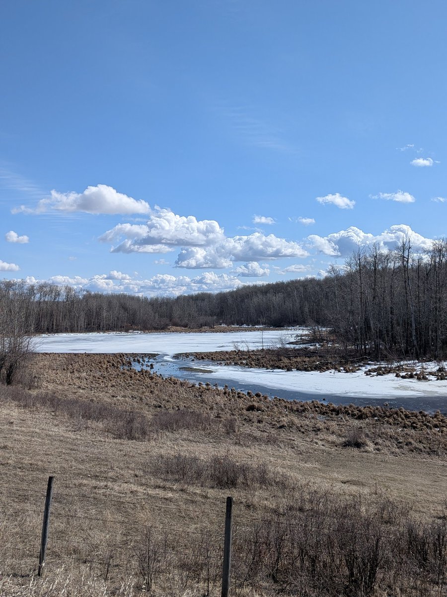 LiveFreeHoney's tweet photo. I love my swamp #SwampLife #BeaverCounty https://t.co/BsqApBrh8J