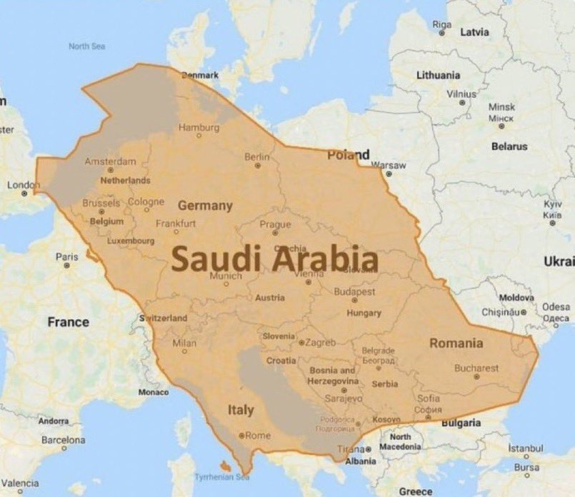 نايف بن سلمان tweet media