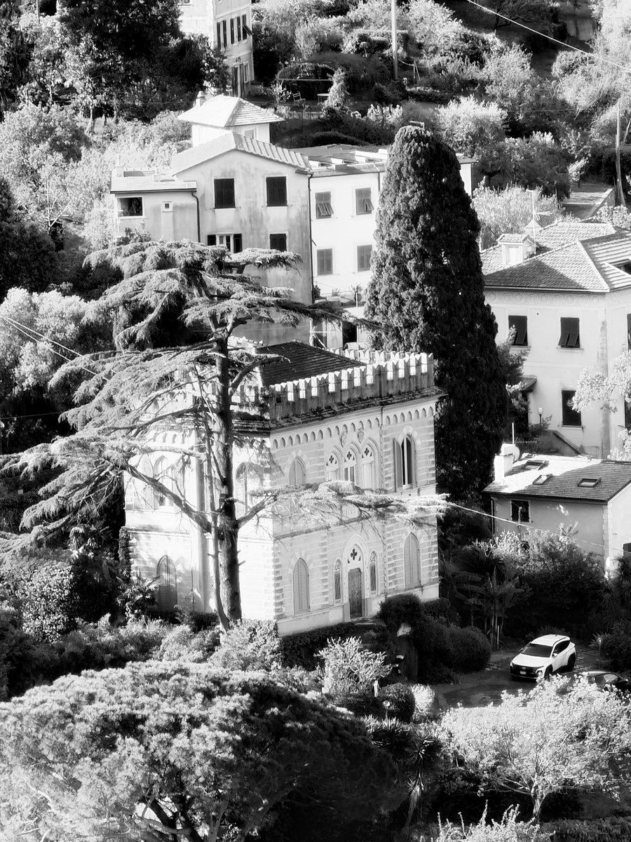 Alonein43672278's tweet image. #photography #blackandwhite #houses #trees
