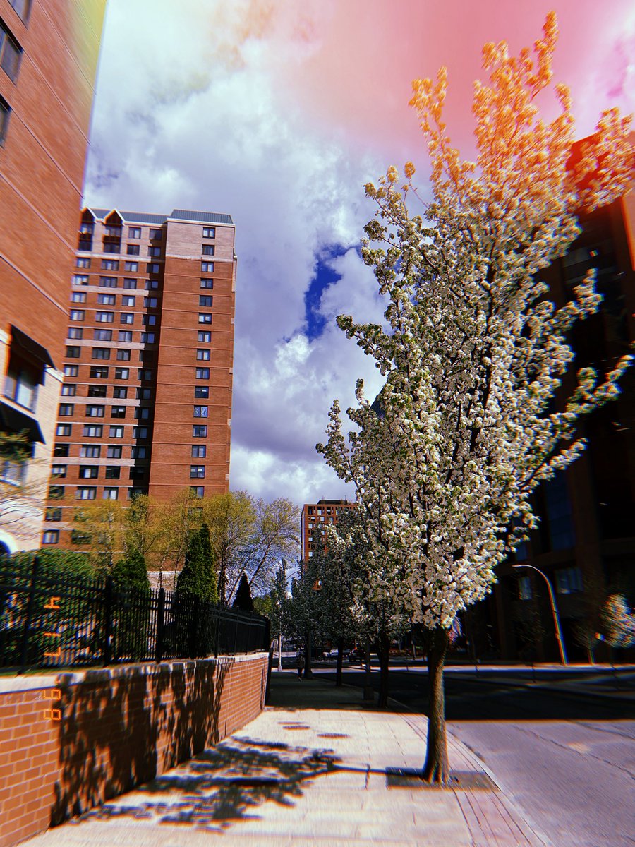 jada ✨ tweet media