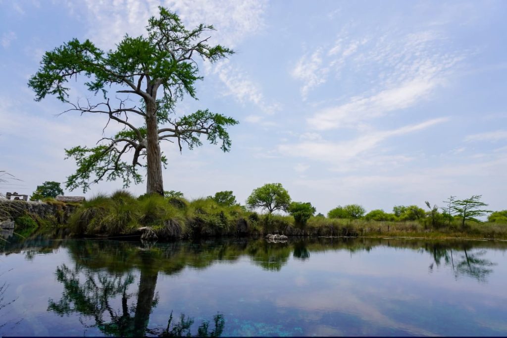 Quadratin_SLP's tweet image. #SLP | VAN POR PROTEGER LOS PEROLES Y SU AHUEHUETE DE MIL 350 AÑOS🌿💧

Con respaldo del gobernador Ricardo Gallardo Cardona , aceleran el trámite para blindar el manantial de Rioverde como Área de Conservación⤵️

n9.cl/mju1p

#Rioverde #LosPeroles #MedioAmbiente