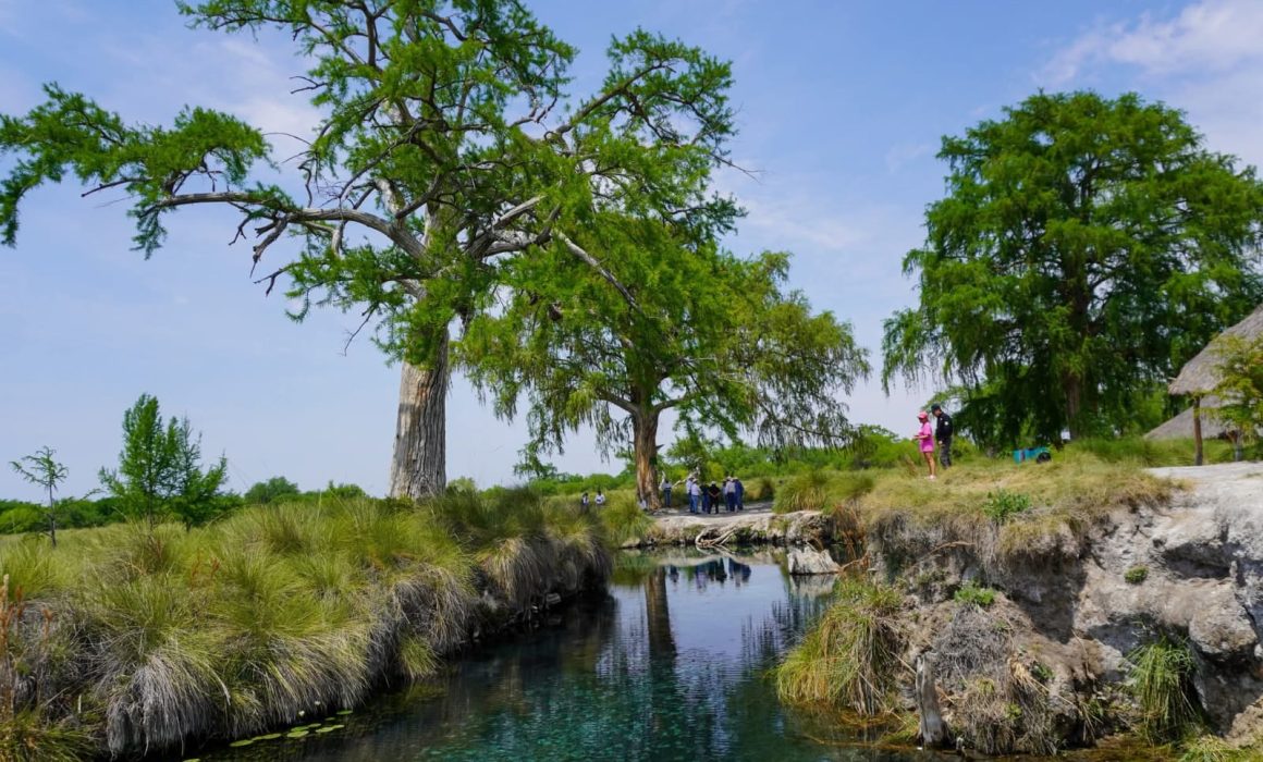 Quadratin_SLP's tweet image. #SLP | VAN POR PROTEGER LOS PEROLES Y SU AHUEHUETE DE MIL 350 AÑOS🌿💧

Con respaldo del gobernador Ricardo Gallardo Cardona , aceleran el trámite para blindar el manantial de Rioverde como Área de Conservación⤵️

n9.cl/mju1p

#Rioverde #LosPeroles #MedioAmbiente