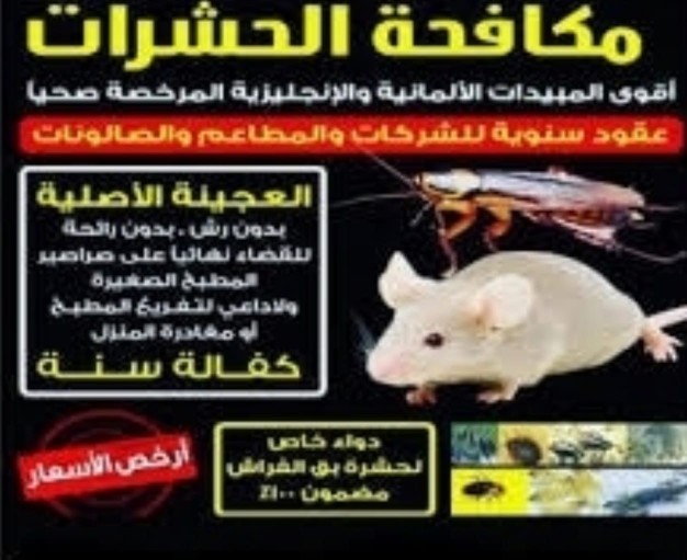 shrkt15's tweet photo. شركة مكافحة حشرات بالاحساء 
مكافحة جميع انواع الحشرات 
رش مبيدات بالاحساء 
مكافحة حشرات مع الضمان
شركة تنظيف افران الغاز بالاحساء 
صيانه افران الغاز 

شركة تنظيف فلل شقق خزانات بالاحساء
تنظيف المكيف 25 ريال العرض لأكثر من 6 مكيفات 
اتصل الان والحق العرض 0551573995 https://t.co/9gOuEMya5F