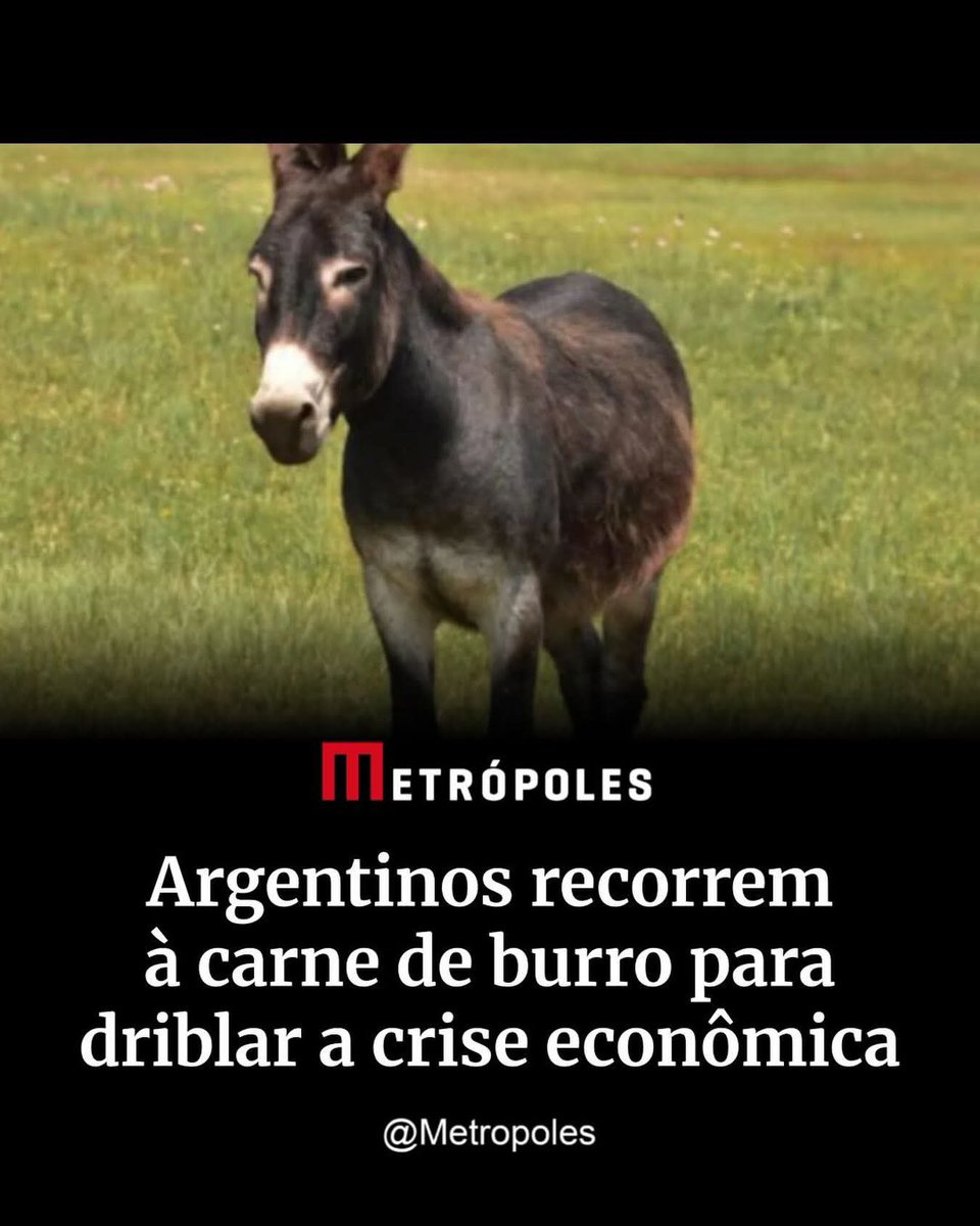 Flávia Maynarte ☭🔺 tweet media