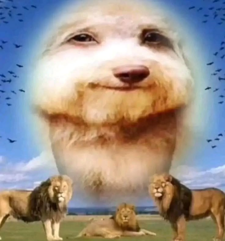 I will now daily share an inspirational message each day to my birthday to see if the algorithm decides to bless me  for my sweet 27 💕

I am currently 40% which is insane considering i used to think i would never hit double digits!🍀 never give up guys ✨ NEVER!

thats.. thats