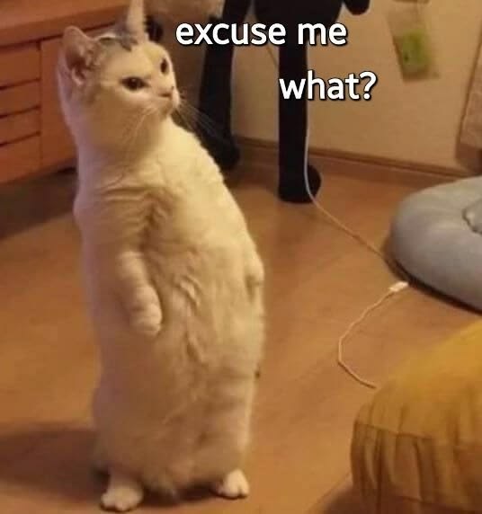 قهوة tweet media