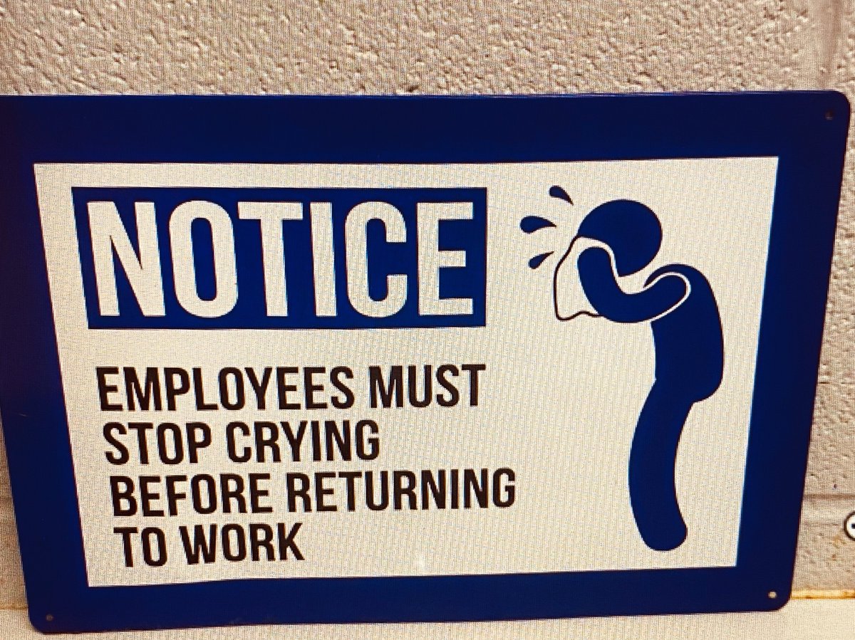 Among the Wildflowers tweet media