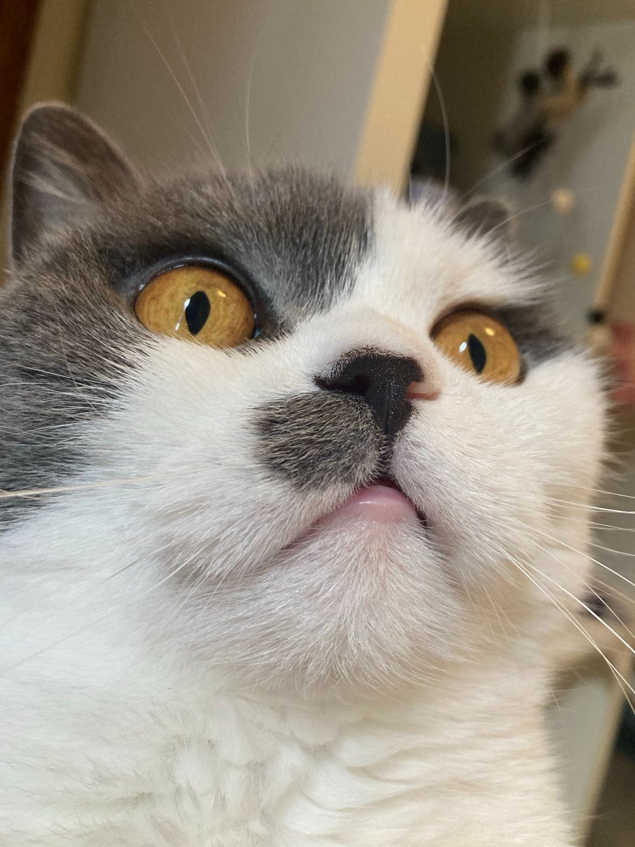 J.S. Alegre ☀️🖋️ tweet media