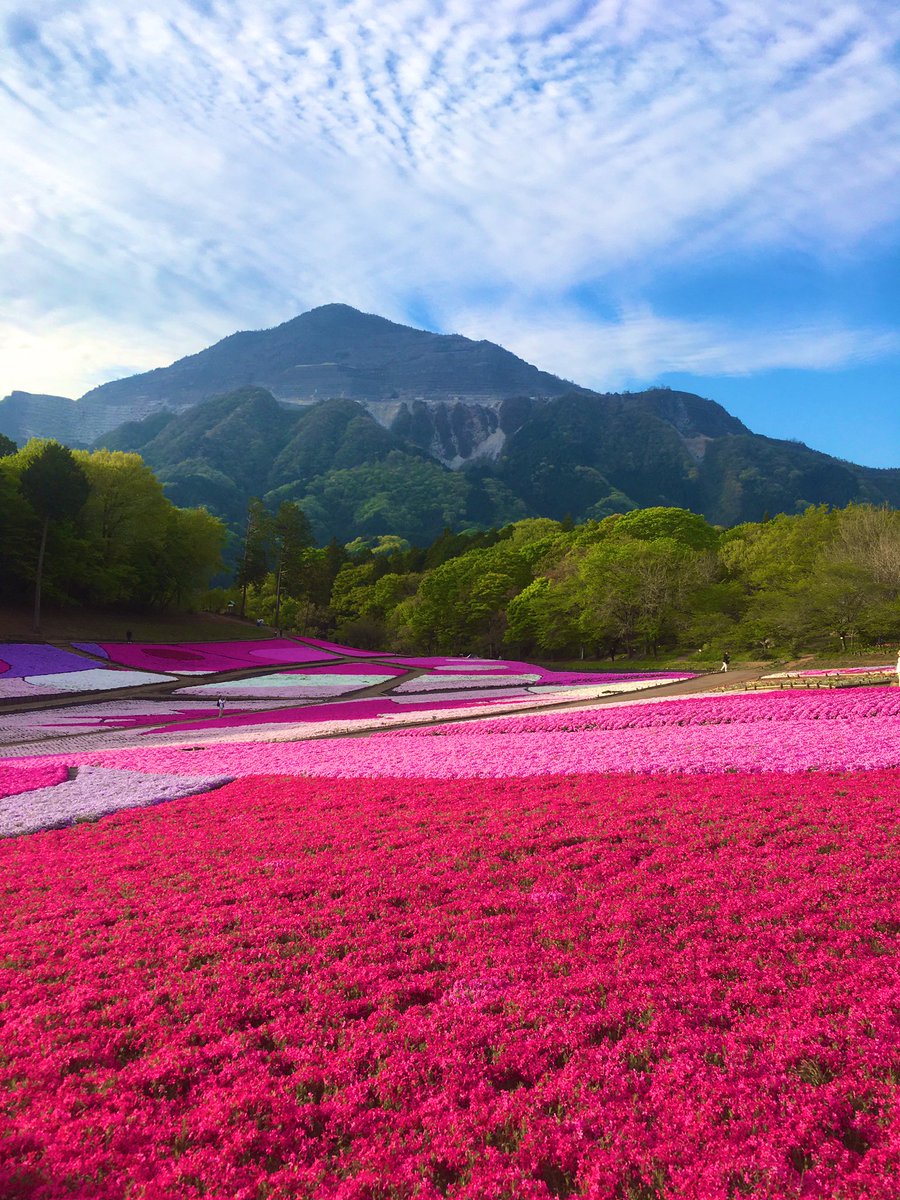 あ づ き ち tweet media