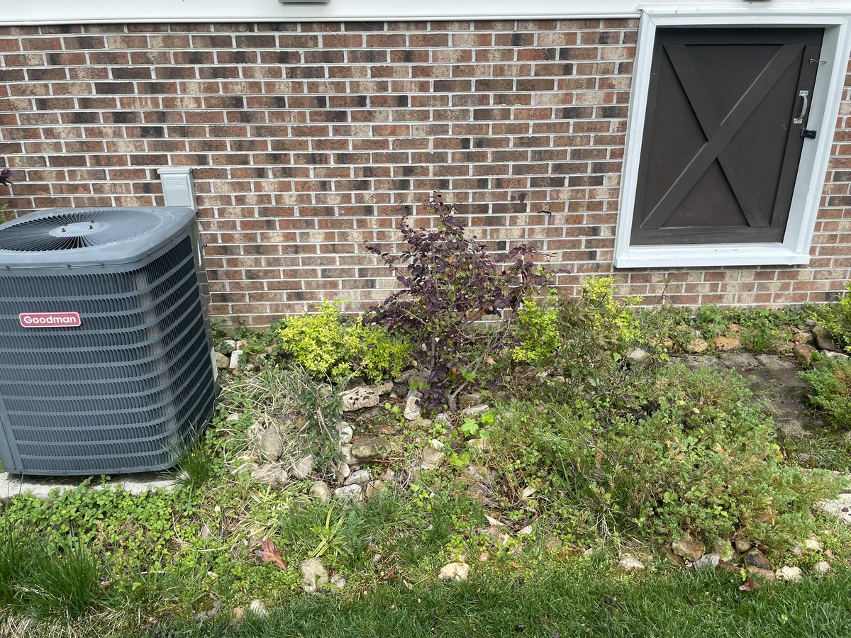 Chief Fagarwi tweet media