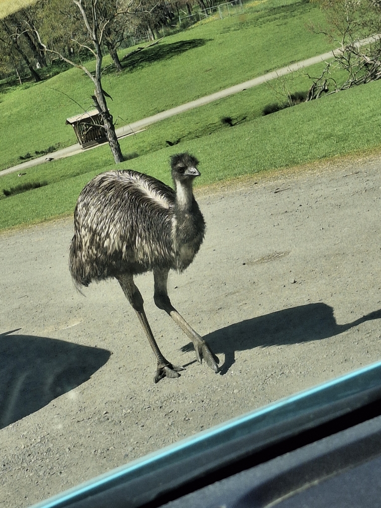 DaD BoD WorKouTs tweet media