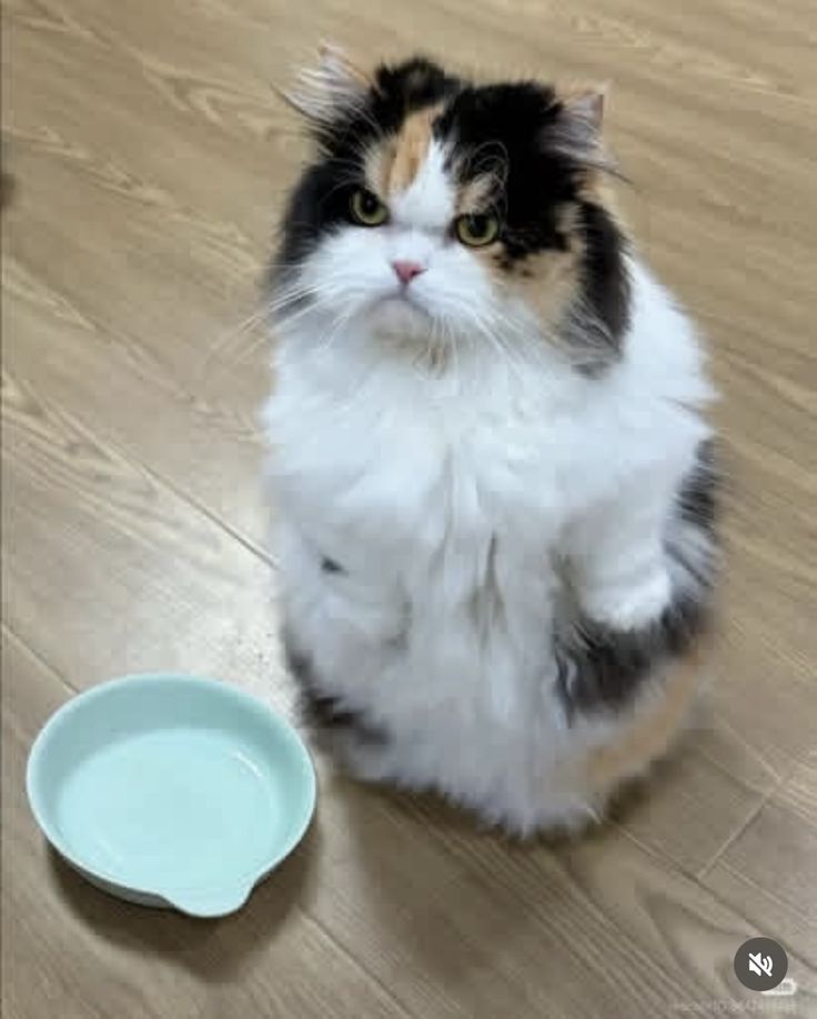 RALD 北の 🇯🇵🗾 tweet media