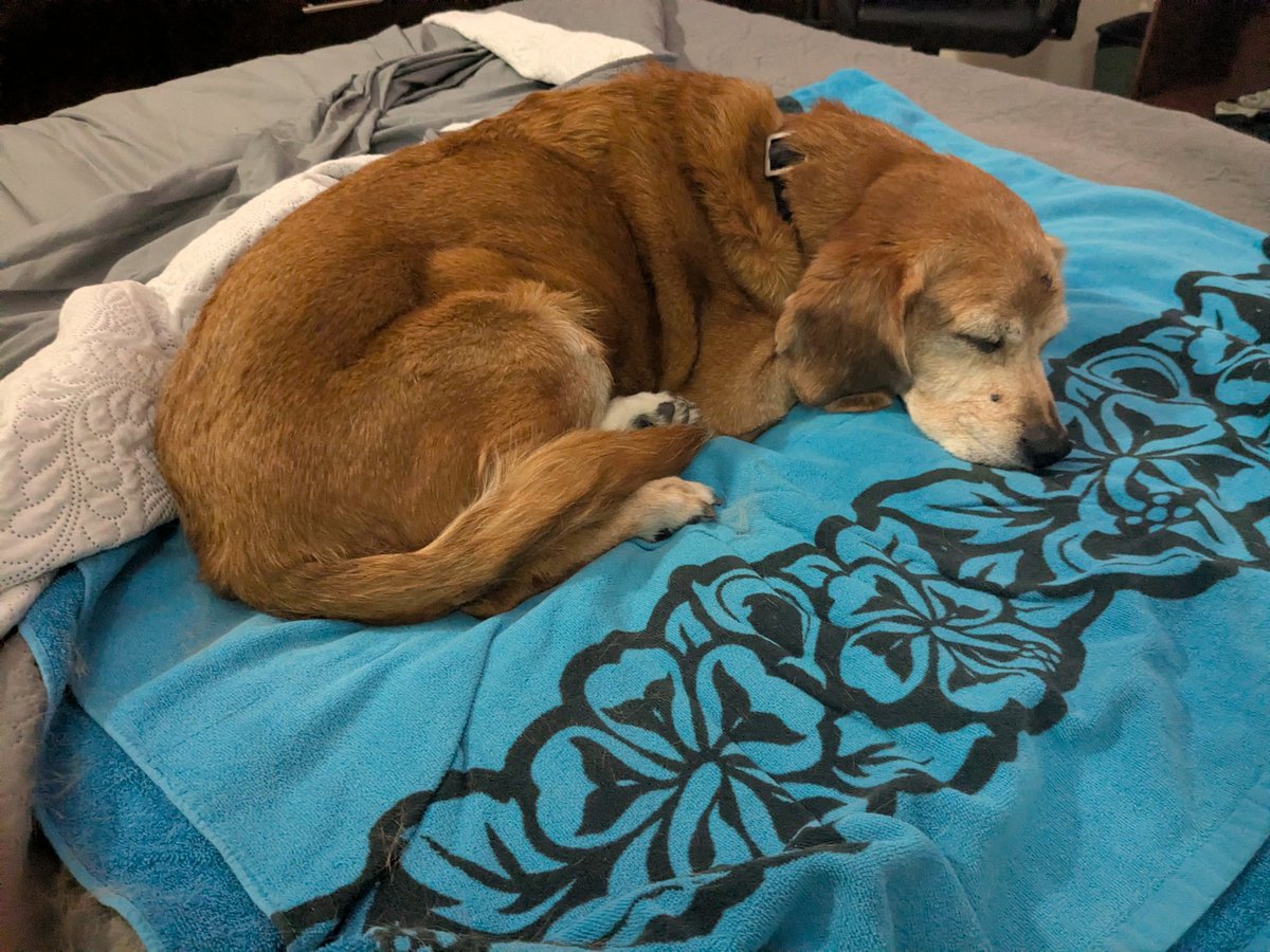 𝕵𝖆𝖝 𝕻𝖆𝖌𝖊 🇵🇸🇲🇽 tweet media