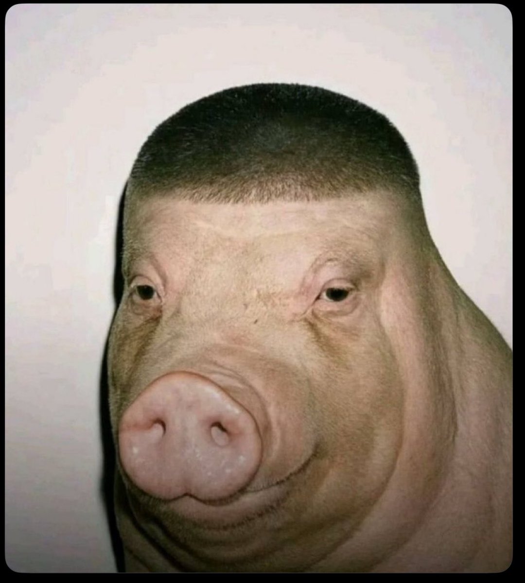 Emelie Uzoegwu tweet media