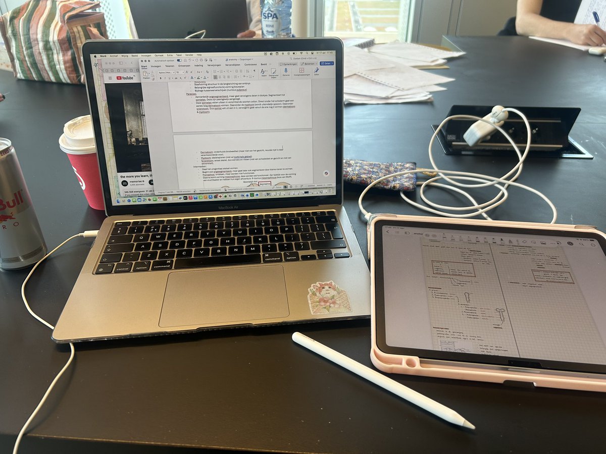 ela 🍀 tweet media