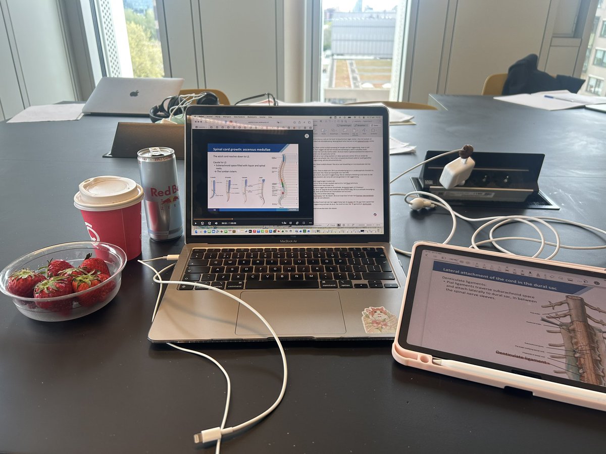 ela 🍀 tweet media