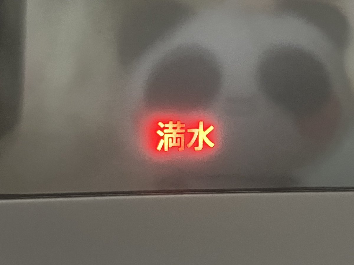 クイナ🌺 tweet media