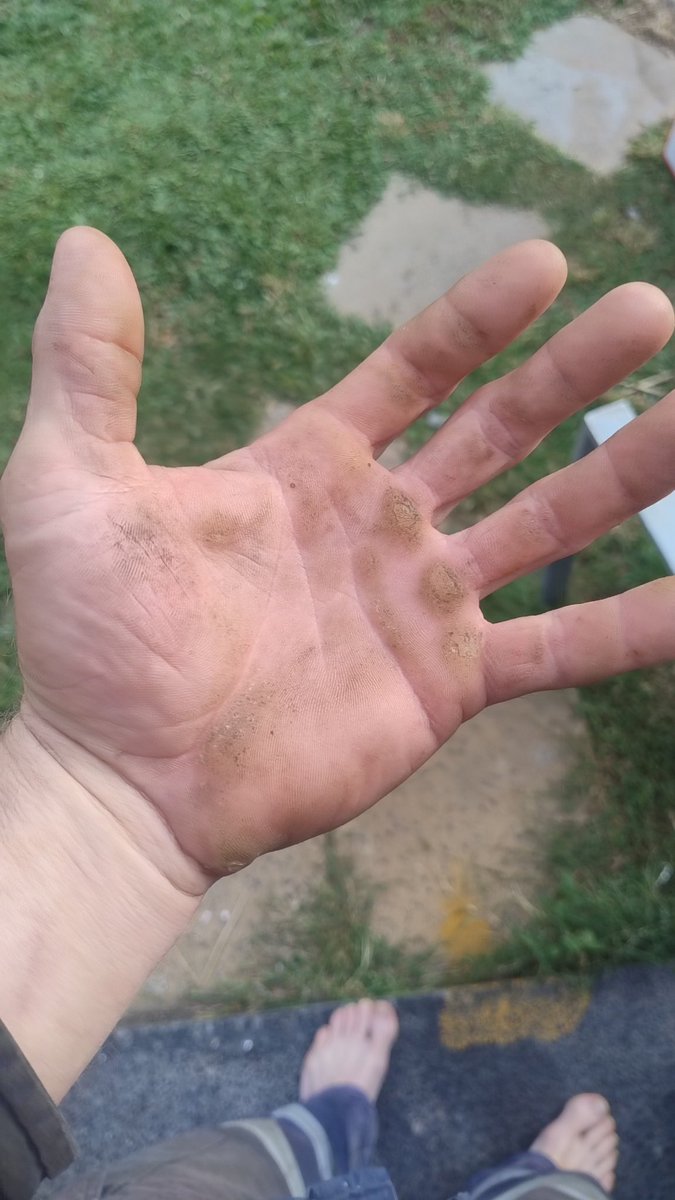 Michael First tweet media