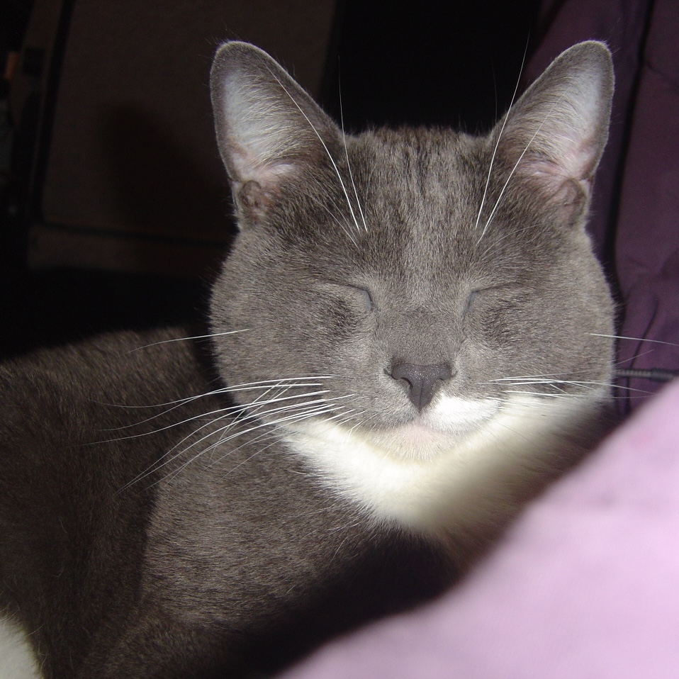 avery 🌱 tweet media