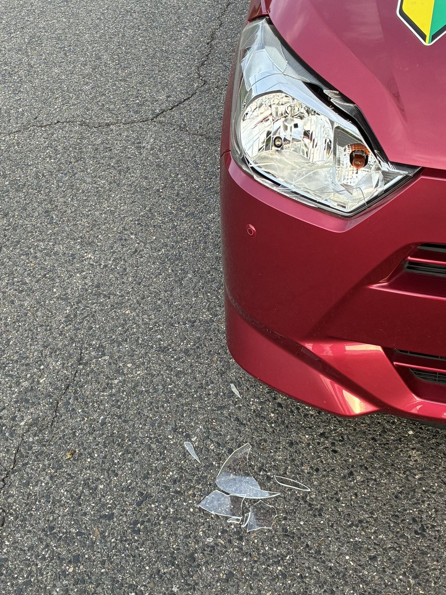 🍧icetukemono🍧 tweet media