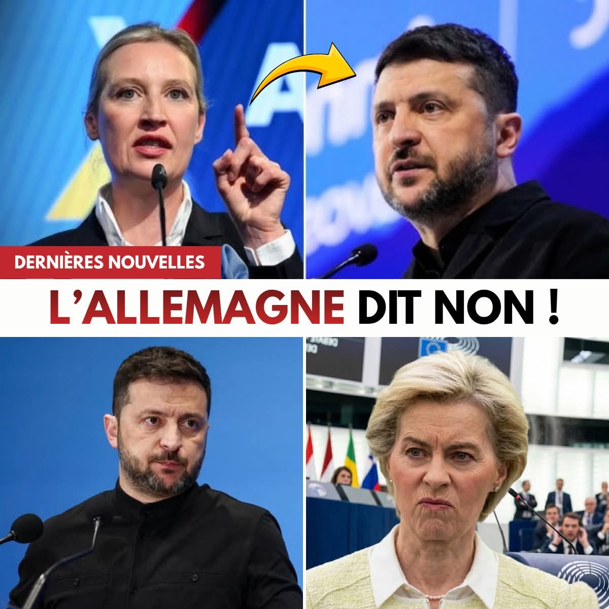 Jess Gill tweet media